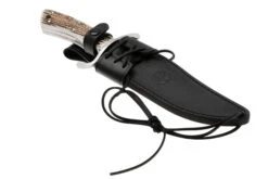 Böker Bowie Stag 121547HH Bois De Cerf N690, Couteau Bowie -Couteausuisse Magasin BO121547HH 06 boker