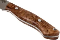 Bark River Sahara Hunter A2, Chechen Burl, Brown Sheath -Couteausuisse Magasin BRK12 115CBRK1 04 bark river brk12 115cbrk1 04
