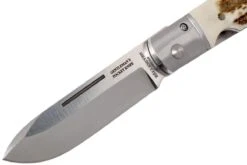 Fallkniven GPs Gentleman's Pocket Knife Stag, Bois De Cerf -Couteausuisse Magasin FKGPS 03 fallkniven fkgps 03