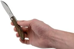 Fox Knives Livri FX-273ZW Zircote Couteau De Poche Slipjoint -Couteausuisse Magasin FOFX 273ZW 08 fox knives