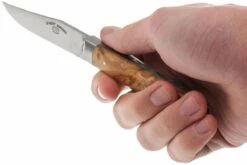 Fontenille Pataud Le Saint-Bernard, Olivier, A1O -Couteausuisse Magasin FPA1O 06 fontenille pataud le saint bernard fpa1o 06