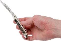 Robert Klaas US Trapper 95mm Real Stag 412-1-251-TRS Couteau De Poche 15 Robert Klaas US Trapper 95mm Real Stag 412-1-251-TRS Couteau De Poche -Couteausuisse Magasin RS412 1 251 TRS 07 robert klaas rs412 1 251 trs 07